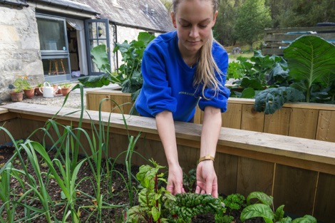 Growing vegetables on site at the STBP base